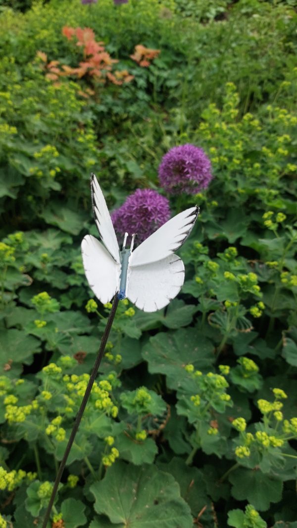 Papillon sur tige "blanc"