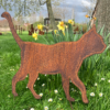 Figaro, le chat en balade