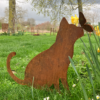 Edmond le chat au papillon sur le museau