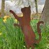 Lucien, le chat curieux