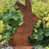 Cacao le lapin