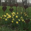Bouquet de 3 coeurs