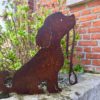 Phoebe le chien en balade