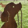 Phoebe le chien en balade – Image 3