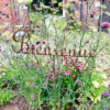 Tige " Bienvenue"