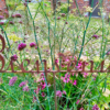 Tige " Bienvenue" – Image 2