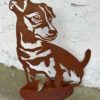 Rocco le Jack Russel – Image 3