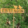 Les Petits mots du potager - ESTRAGON