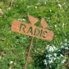 Les Petits mots du potager - RADIS