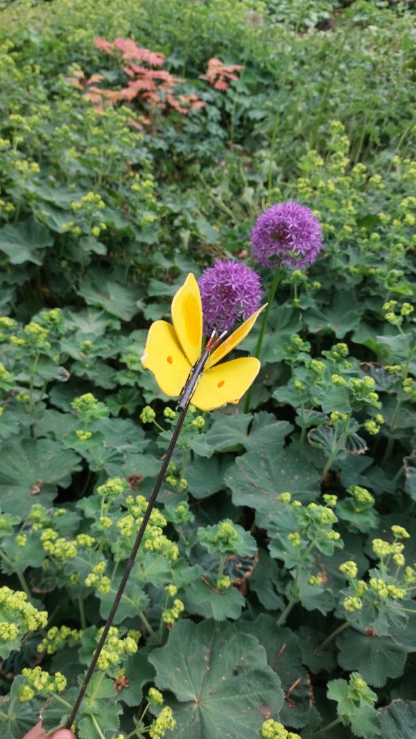 Papillon sur tige "jaune"