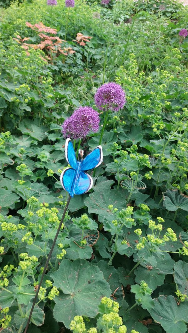 Papillon sur tige "bleu"