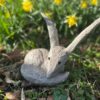 Le renard du Prince Debout (mini)