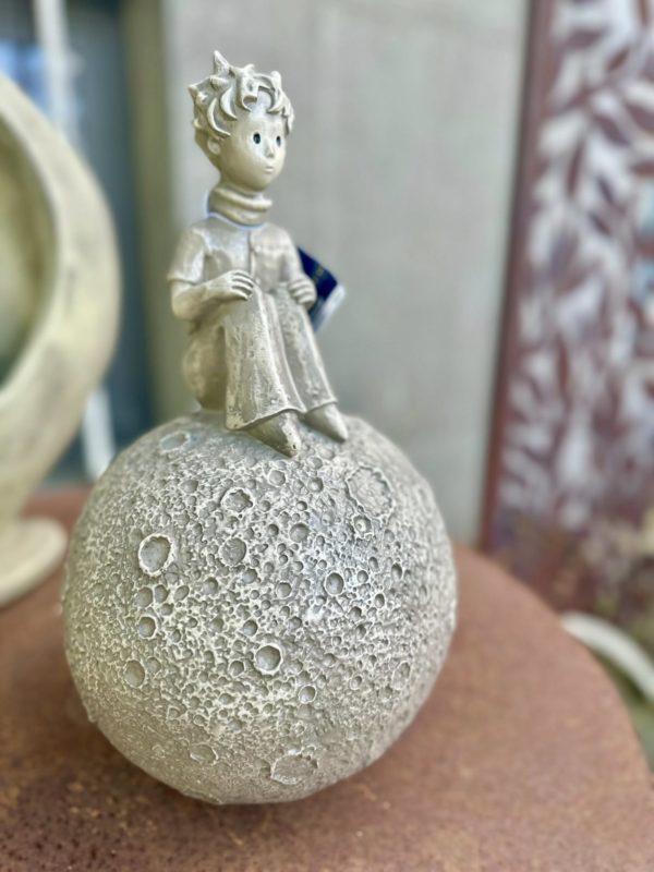 Le petit prince sur sa planète (mini)
