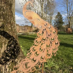 Léon le Paon sur tige